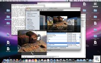 Osx_coverflowquicklook