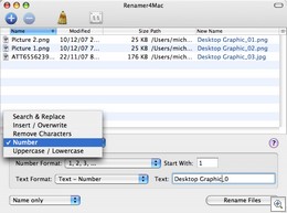 Renamer_interface